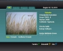 dlearning1